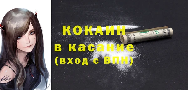индика Гусь-Хрустальный