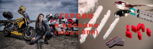 индика Гусь-Хрустальный