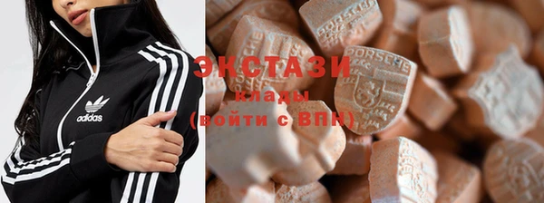индика Гусь-Хрустальный