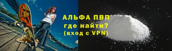индика Гусь-Хрустальный