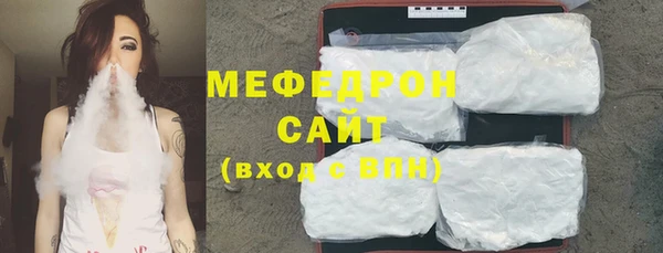 индика Гусь-Хрустальный