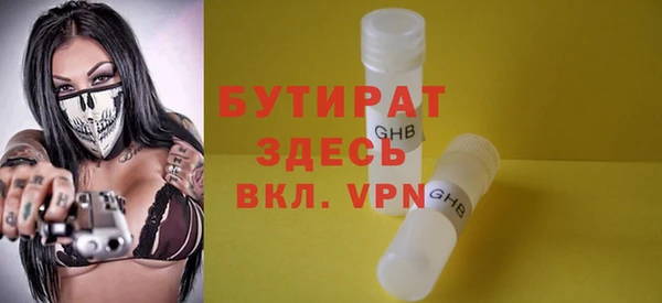 индика Гусь-Хрустальный