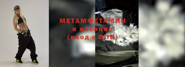 индика Гусь-Хрустальный