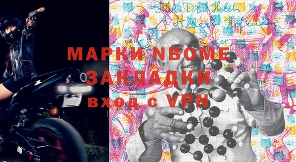 индика Гусь-Хрустальный