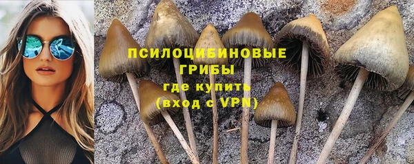 mdpv Гусев