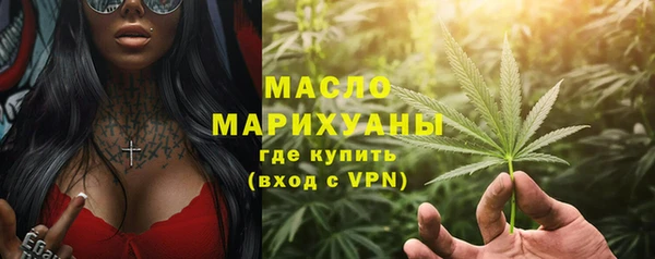 индика Гусь-Хрустальный