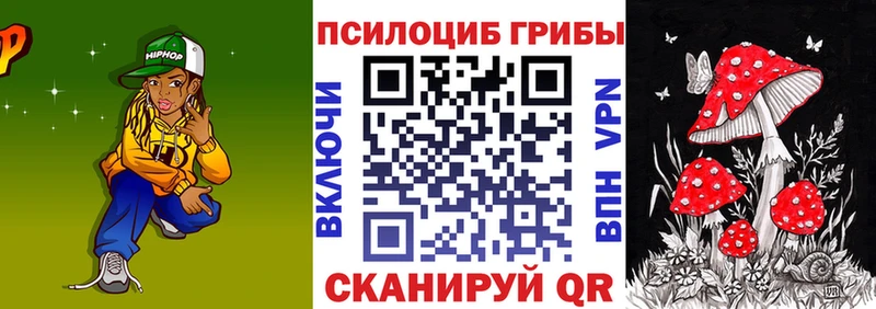 где продают наркотики  Западная Двина  Псилоцибиновые грибы Psilocybe 