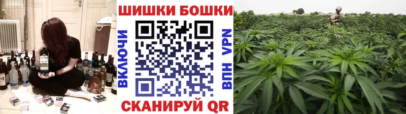 OMG ссылка  где найти   Западная Двина  Бошки марихуана THC 21% 